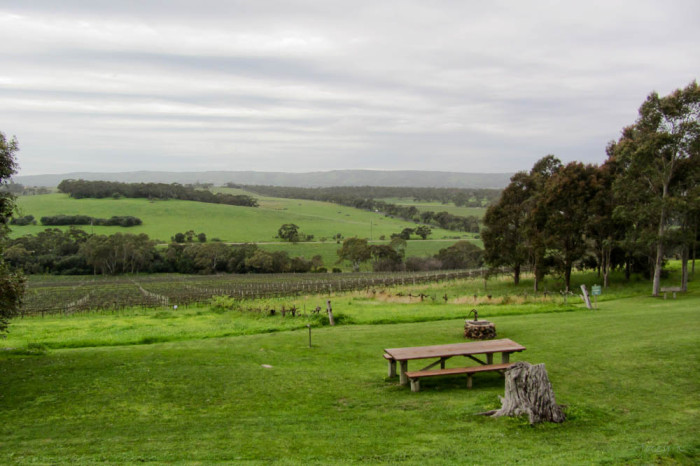 10298236634_d8eb1bfca0_b_mclaren-vale