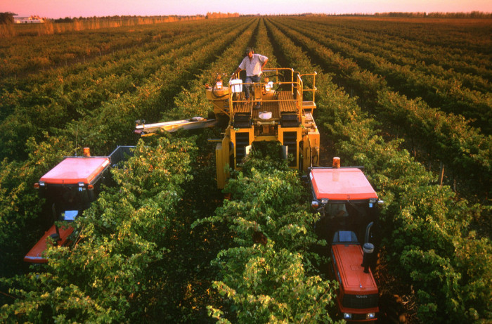 16507925851_174fdc1b9a_b_coonawarra-south-australia