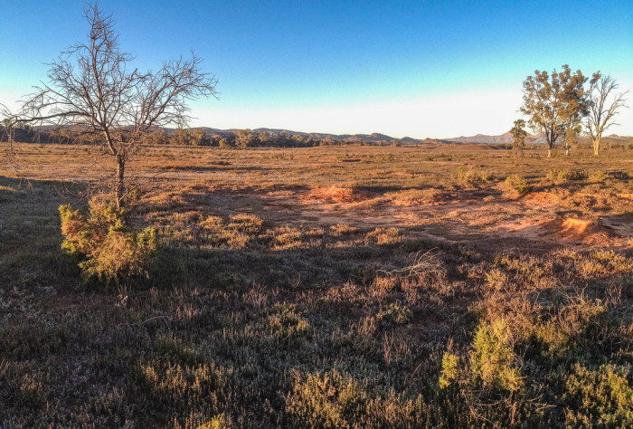 16533940122_c9a842e794_b_flinders-ranges