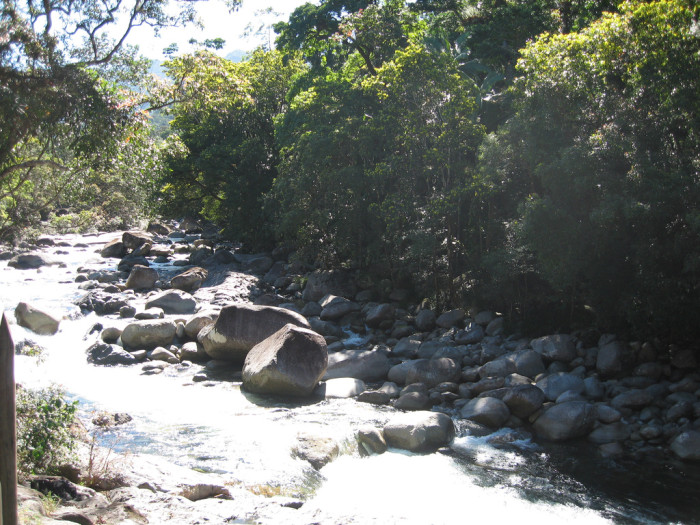 185726754_d8831b527f_b_Daintree-National-Park