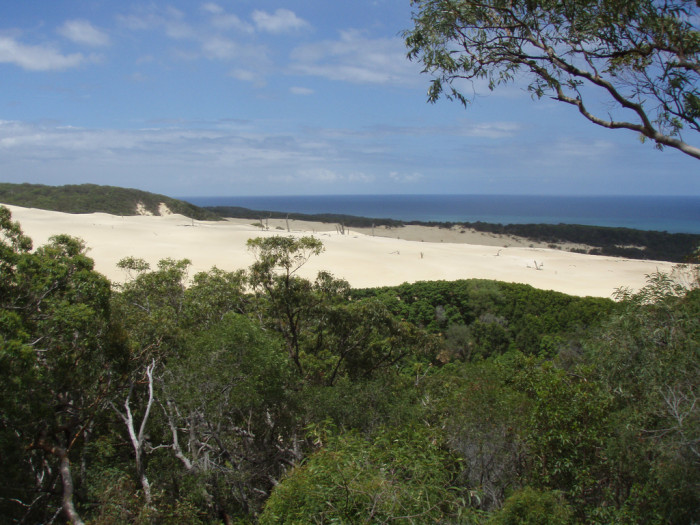 4287690803_6dc09470b4_b_fraser-island1