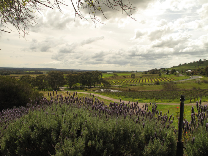 4998759592_7a2c9c6a50_b_barossa-valley