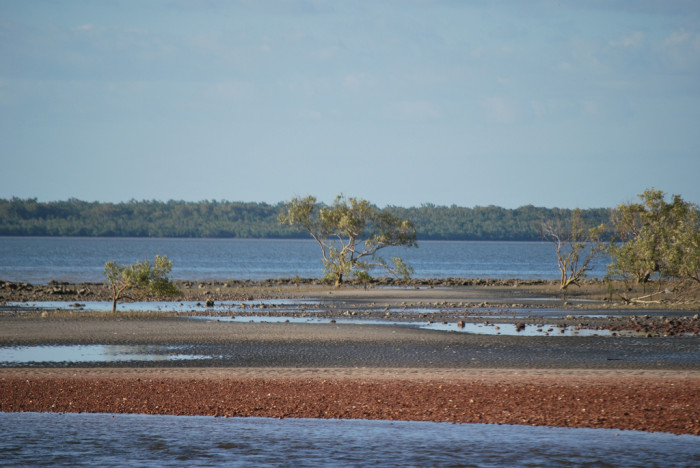 Trandhhing, low tide