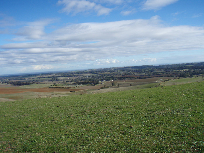 7398469338_a8a600a62f_b_clare-valley