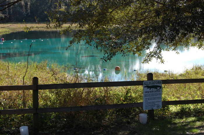 8321933468_65cd307c4d_b_rainbow-springs
