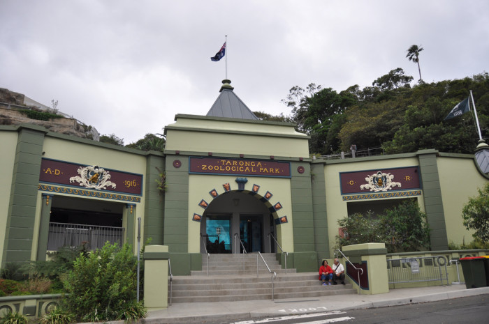 8476515719_94ccee1625_b_taronga-zoo