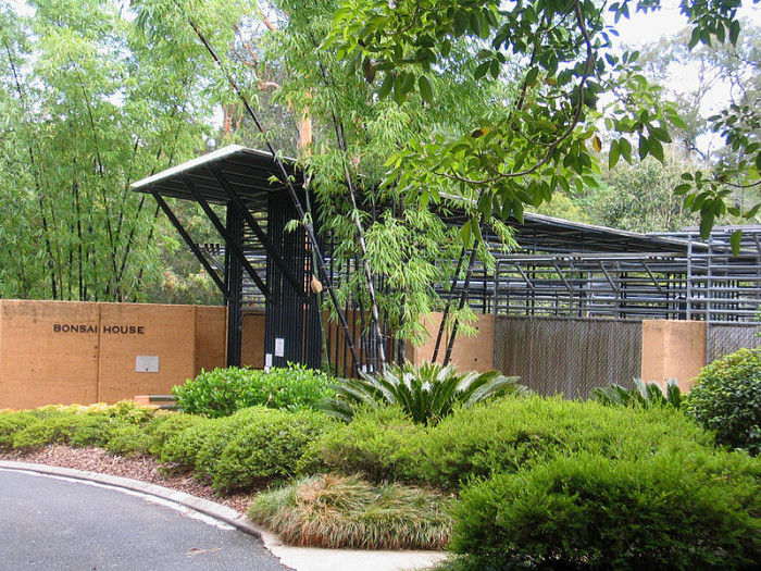 Bonsai-House