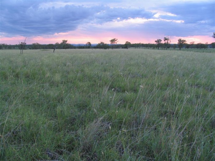 Central-Highlands
