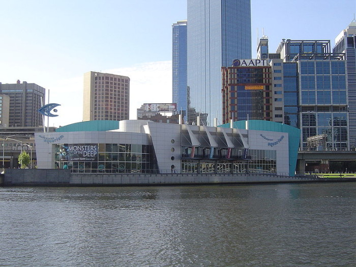 Melbourne-Aquarium