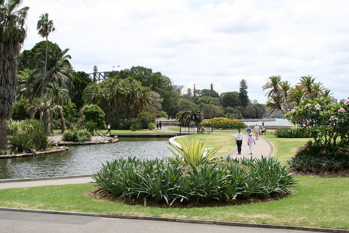 Royal-Botanic-Gardens-Sydney
