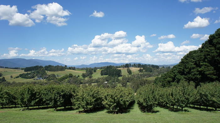 Yarra-Valley